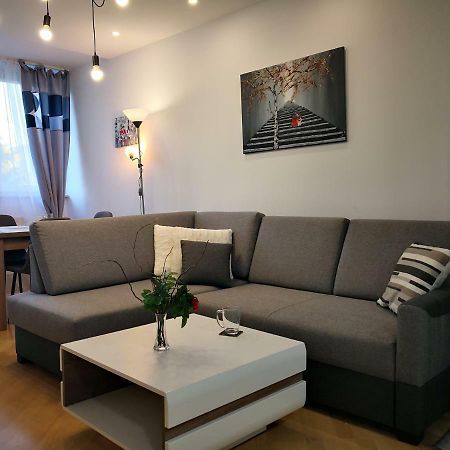 Apartament Apartament Alfa Stary Toruń Zewnętrze zdjęcie