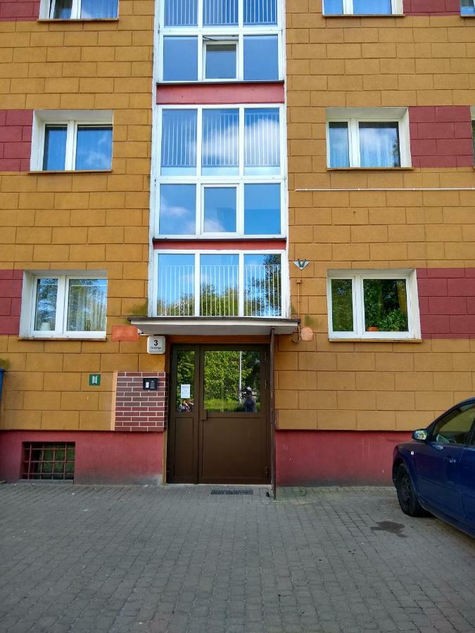 Apartament Apartament Alfa Stary Toruń Zewnętrze zdjęcie