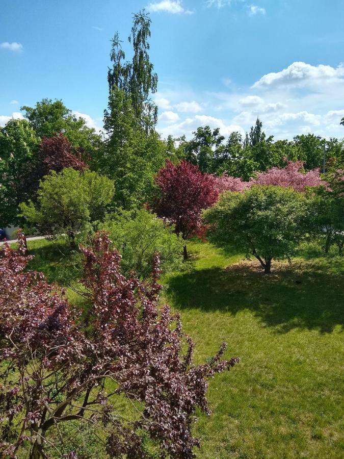 Apartament Apartament Alfa Stary Toruń Zewnętrze zdjęcie
