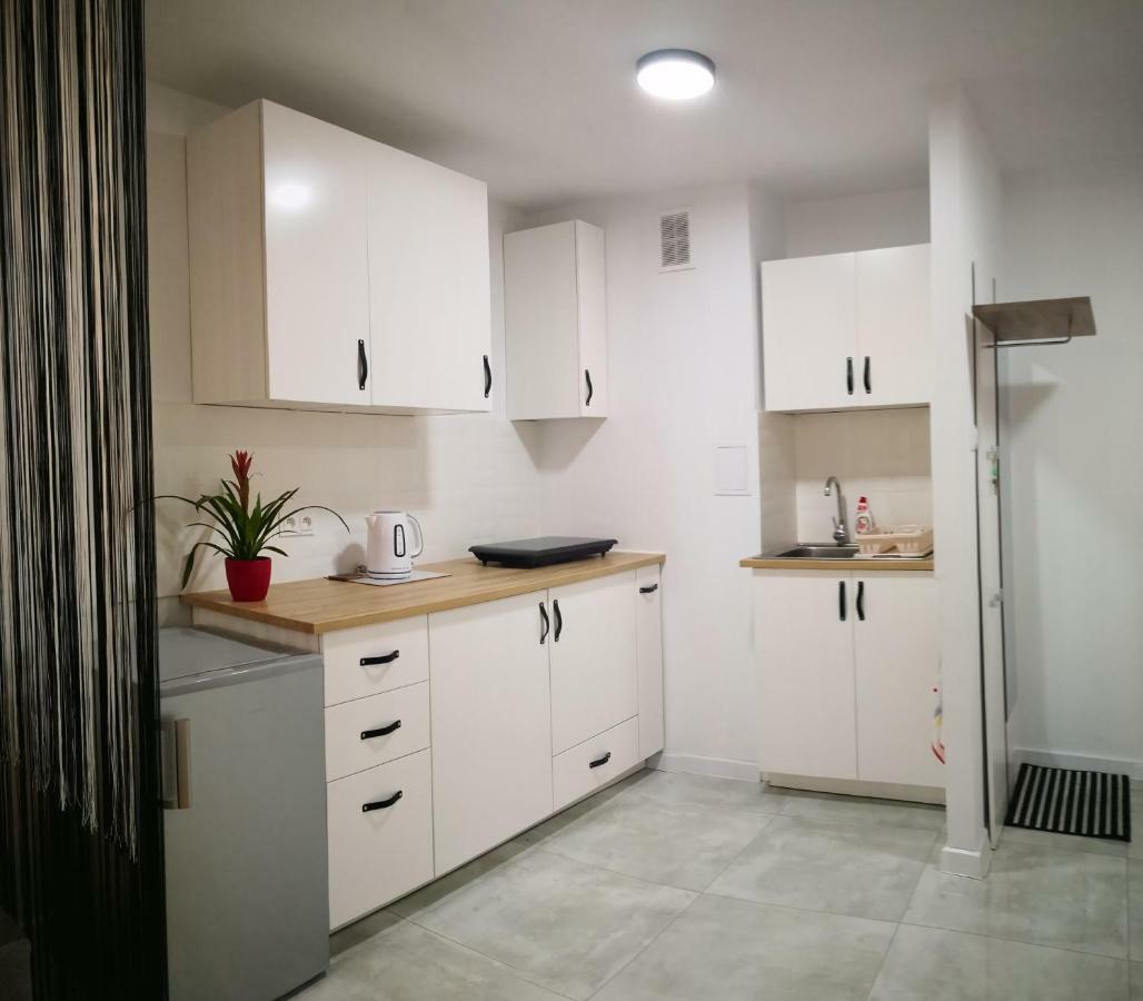 Apartament Apartament Alfa Stary Toruń Zewnętrze zdjęcie