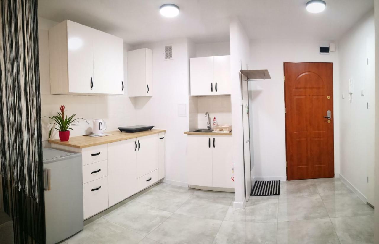 Apartament Apartament Alfa Stary Toruń Zewnętrze zdjęcie